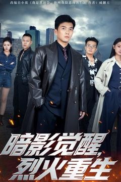 暗影觉醒，烈火重生