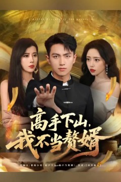 高手下山我不当赘婿