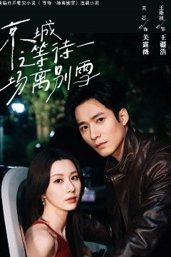 京城之等待一场离别雪