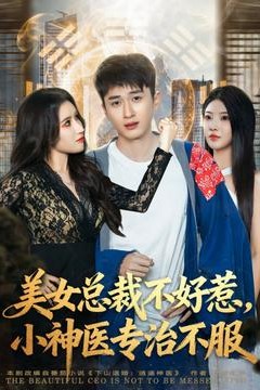 美女总裁不好惹，小神医专治不服