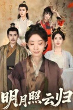 明月照云归