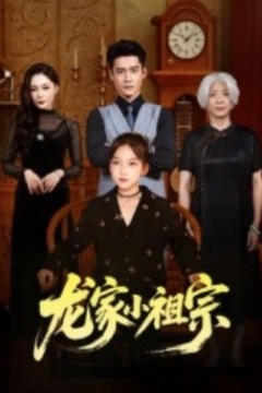 龙家小祖宗