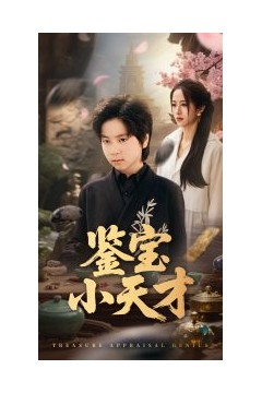 鉴宝小天才