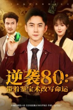 逆袭80带着鉴宝术改写命运