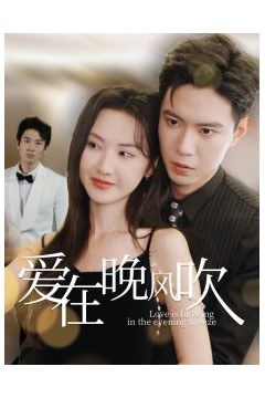 爱在晚风吹