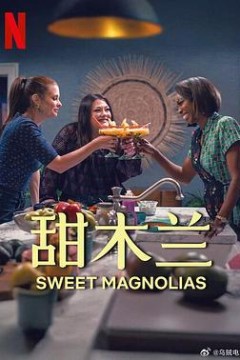 甜木兰第四季