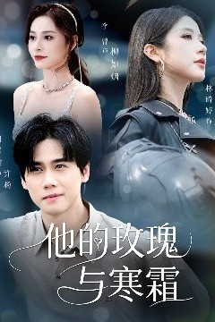 他的玫瑰与寒霜