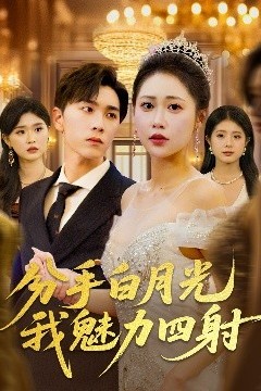 分手白月光我魅力四射