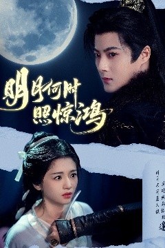 明月何时照惊鸿