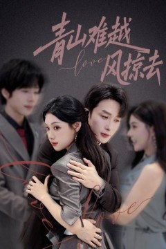 青山难越风掠去