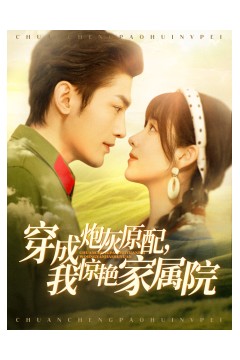 穿成炮灰原配，我惊艳家属院