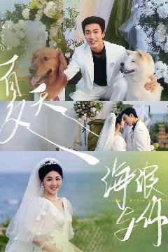 夏天，海浪与你