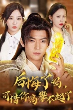 后悔了吗可惜你高攀不起了