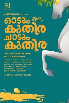 一匹马奔跑，一匹马跳跃