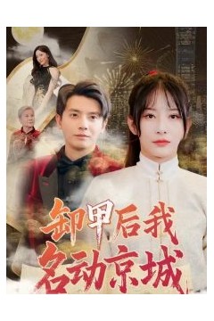 卸甲后我名动京城