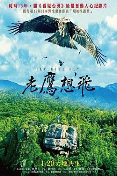 老鹰想飞
