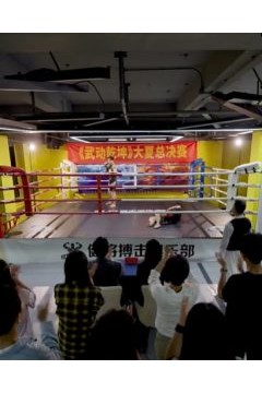 武驰人生2之飓风营救