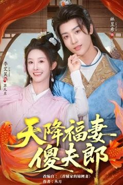 天降福妻傻夫郎