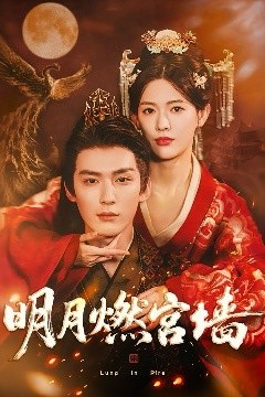明月燃宫墙