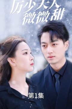 厉少夫人微微甜