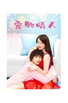 宠物情人
