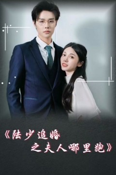 陆少追婚之夫人哪里跑