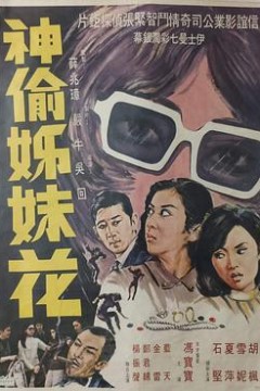 神偷姊妹花粤语