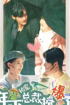 娇宠，年下总裁撩爆了