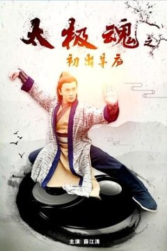 太极魂之初出茅庐