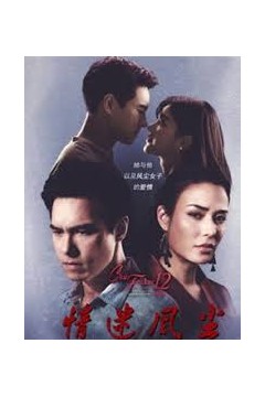 隐秘之爱之情迷风尘