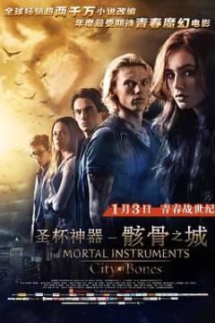 圣杯神器：骸骨之城