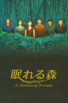 沉睡的森林1998