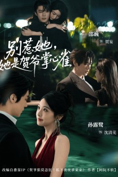 别惹她，她是贺爷掌心雀