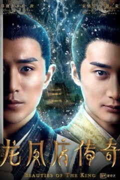 龙凤店传奇