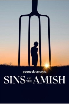 阿米什人的罪恶第一季