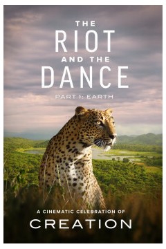 自然：狂乱之有序