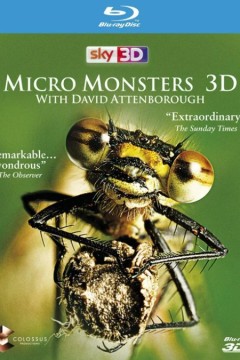 微型猛兽世界之旅