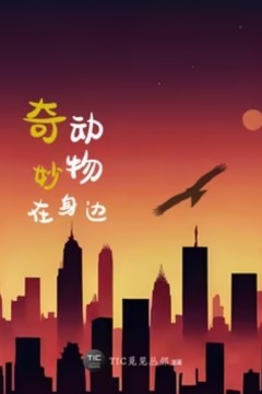 奇妙动物在身边