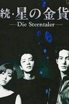 星之金币第二季