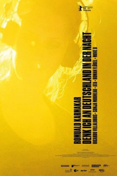 当我在夜晚想起德国