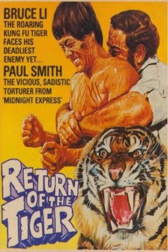 猛虎回来