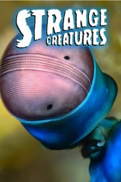 奇异生物第二季