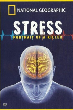 压力：杀手的肖像