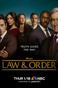 法律与秩序第二十三季