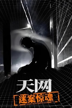 天网：迷案惊魂