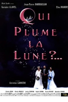 谁摘下了月亮的羽毛