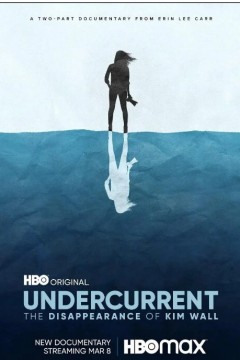 暗流：金·沃尔的消失2022