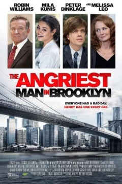 布鲁克林最愤怒的人2014