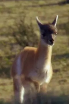 为跑而生的新生活