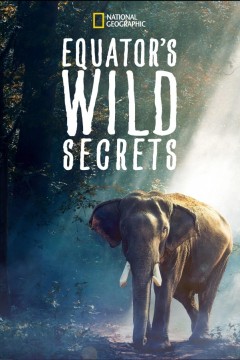 荒野之谜第六季